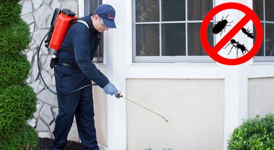 Marmaraereğlisi Gümüşkurt İlaçlama böcek ilaçlama ve haşere kontrolü — ilaclama-tr.com